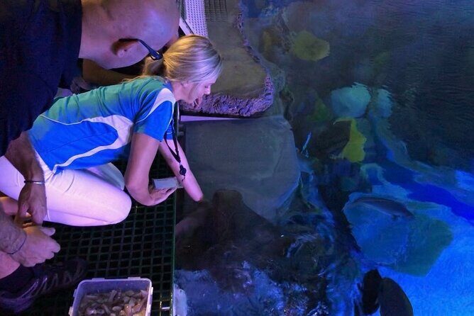 Cairns Aquarium Marine Life Encounter Ticket - What Makes This Tour Special?
