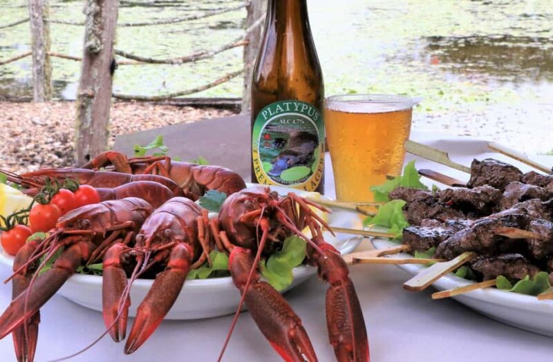 Cairns: Atherton Tablelands Full-Day Adventure - The Sum Up: Is This Tour Right for You?