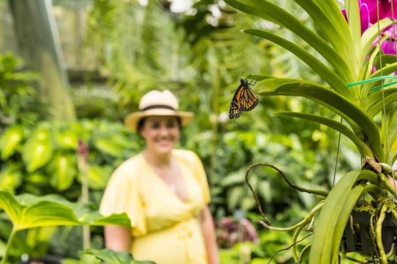 Cairns: Cairns City Sights & Surrounds Half Day Tour - Key Points