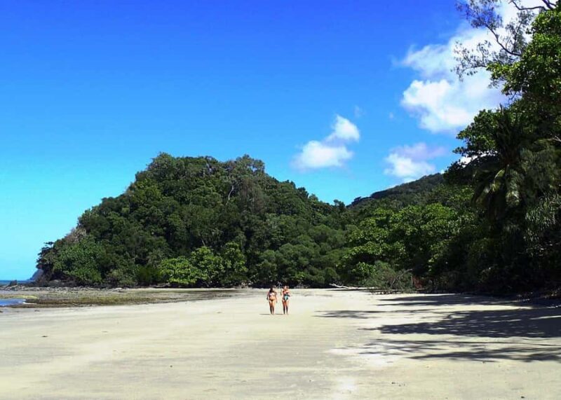 Cairns: Cape Tribulation, Beaches, Crocs & Swimming Day Tour - The Experience in Context