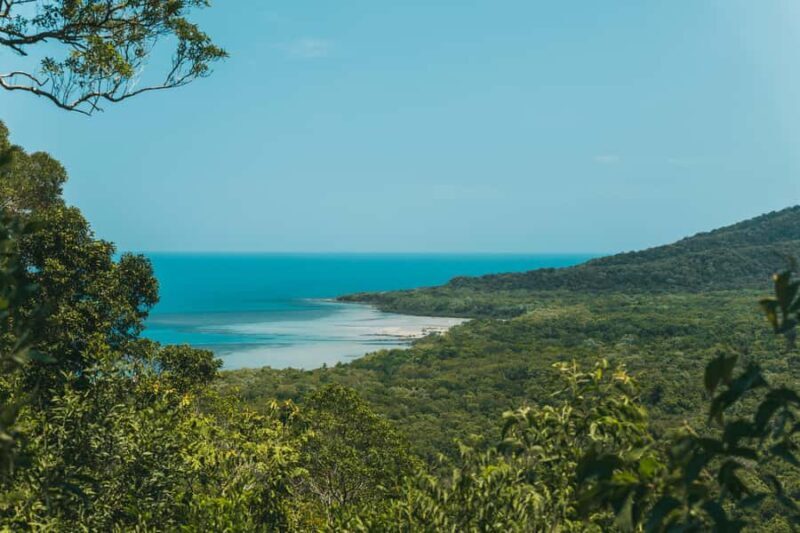 Cairns: Cape Tribulation & Daintree Rainforest Premium Tour - Price and Value