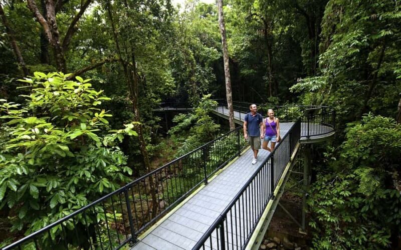 Cairns: Cape Tribulation, Mossman Gorge & Daintree Day Tour - The Value of This Tour