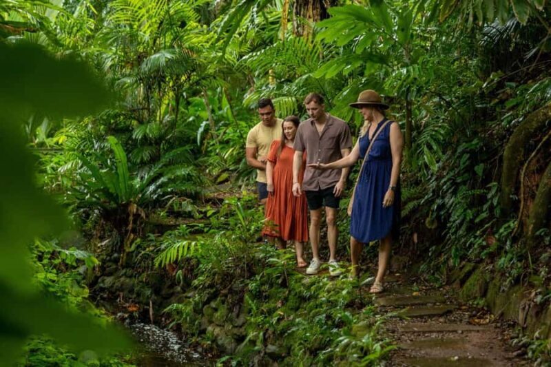 Cairns City: Cairns Koala & Creatures + City Sights Tour - Introduction