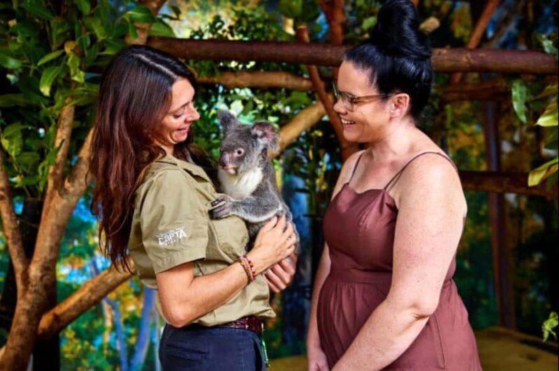 Cairns City: Cairns Koala & Creatures + City Sights Tour - Final Thoughts