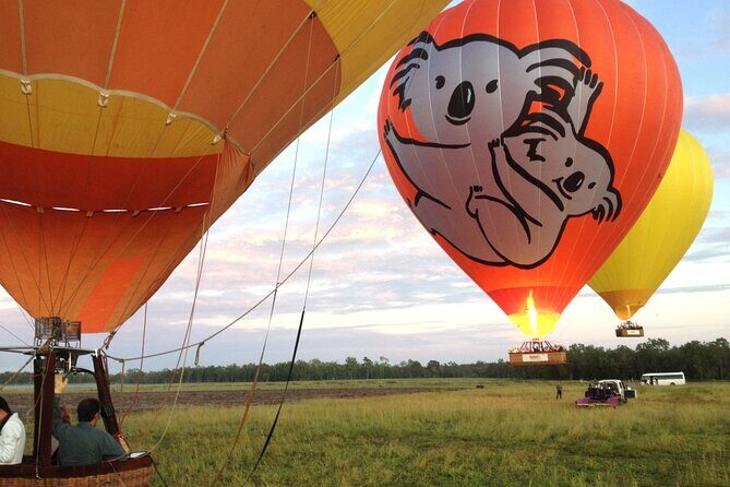 Cairns Classic Hot Air Balloon + Lemoncello - The Itinerary: What to Expect