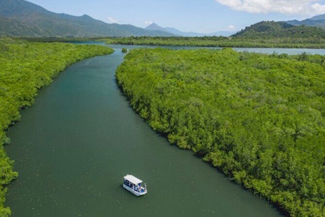Cairns Combo: Cairns River Cruise & Small group Cairns City Sights - A Deep Dive into the Cairns Combo Tour
