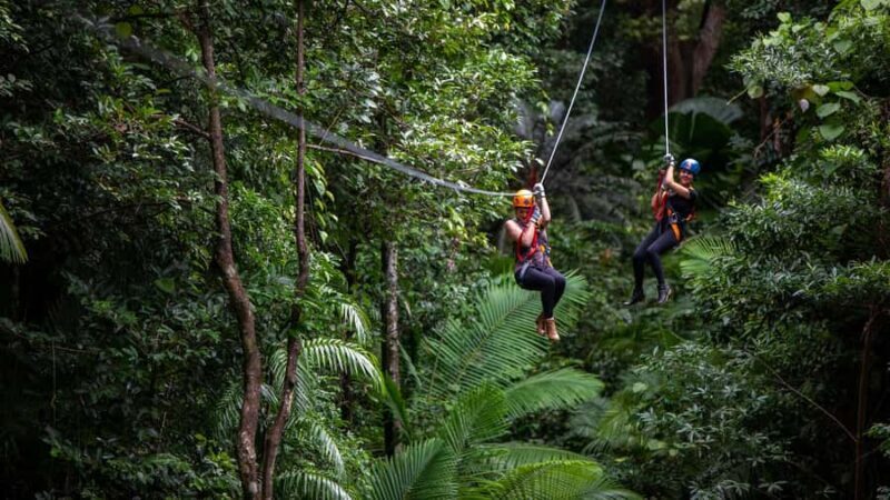 Cairns: Daintree Rainforest 2-Day with Optional Extras - What You Should Know Before Booking