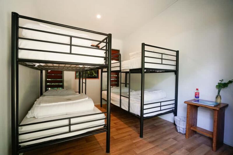 Cairns: Daintree Rainforest 2-Day with Optional Extras - Who Will Appreciate This Tour?