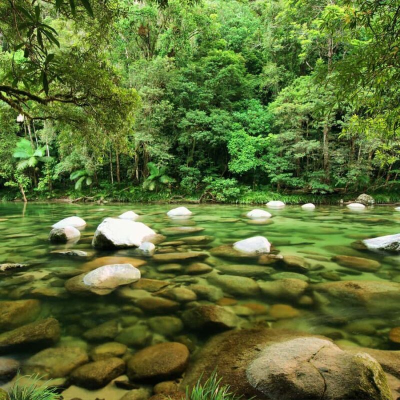 Cairns: Daintree Rainforest 2-Day with Optional Extras - Final Thoughts