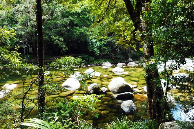 Cairns Daintree Rainforest and Cape Tribulation 2-Day Tour - Key Points