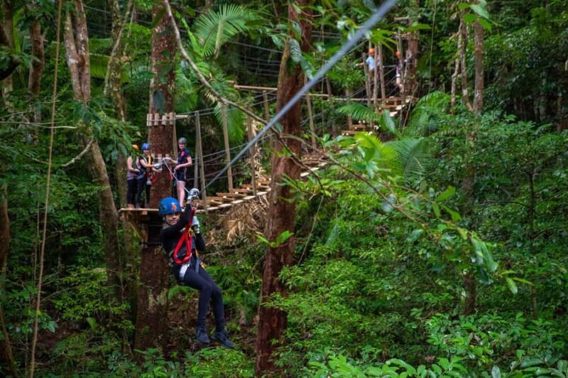 Cairns: Daintree Rainforest Canopy Ziplining Tour - An Introduction to Queensland’s Rainforest from the Sky