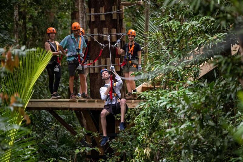 Cairns: Daintree Rainforest Canopy Ziplining Tour - FAQ