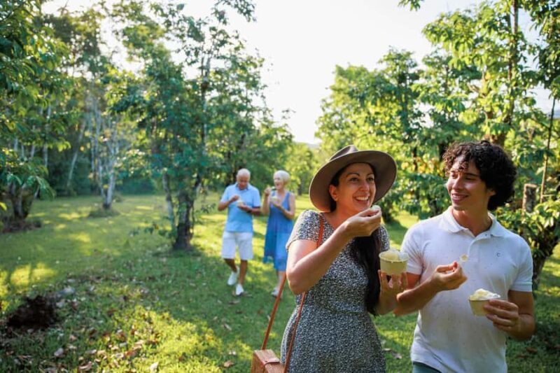 Cairns: Daintree Rainforest & Cape Tribulation Day Trip - Key Points