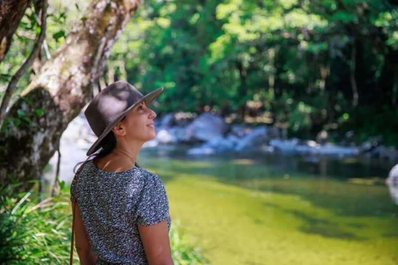 Cairns: Daintree Rainforest & Cape Tribulation Day Trip - The Itinerary in Detail