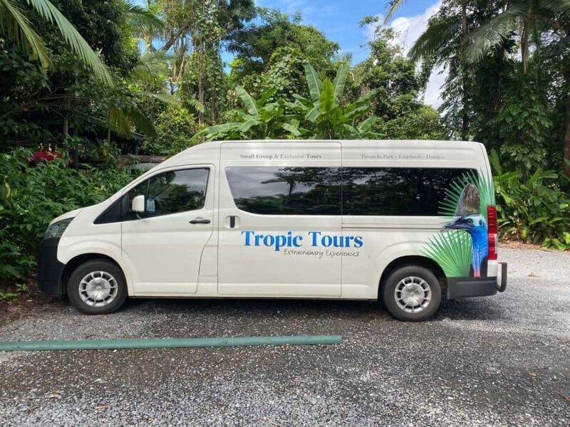 Cairns: Daintree River Cruise and Mossman Gorge - Final Thoughts: Who Is This Tour Perfect For?