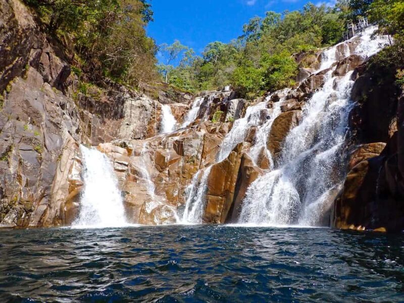 Cairns: Explorer Tour- Cairns Waterfalls - What Travelers Say and Why It Matters