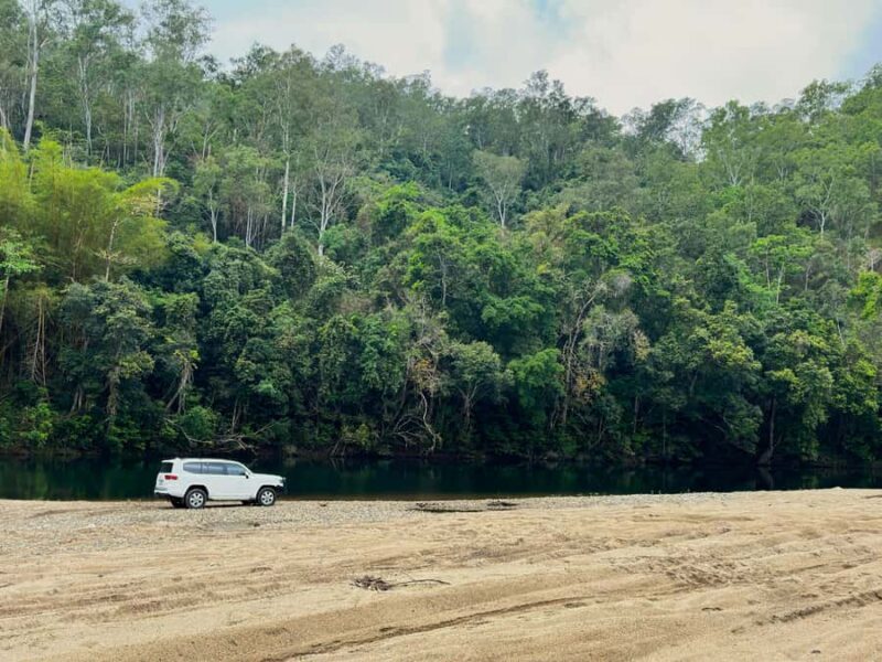 Cairns: Forest and Waterfalls Half-Day 4WD Guided Adventure - An In-Depth Look at the Cairns Forest and Waterfalls Tour