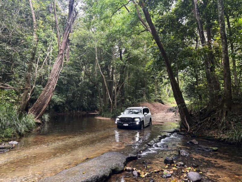 Cairns: Forest and Waterfalls Half-Day 4WD Guided Adventure - Who Should Book This Tour?