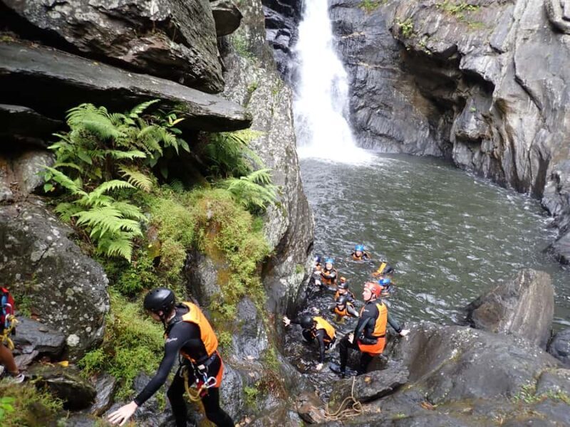 Cairns Full-Day Canyoning Adventure tour - Authentic Experiences from Other Travelers