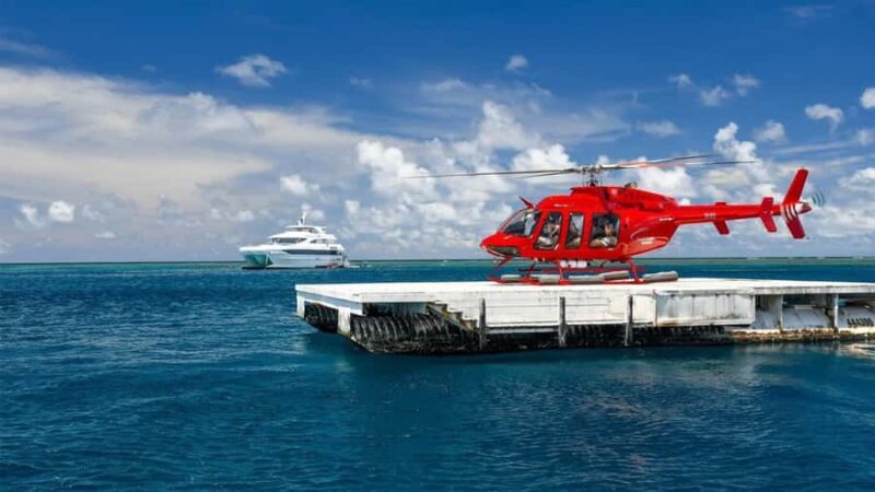 Cairns: Great Barrier Reef Cruise & Scenic Helicopter Flight - Key Points