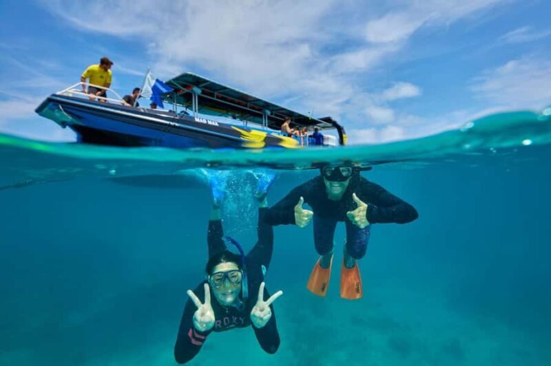 Cairns: Great Barrier Reef Half-Day Snorkelling Tour - Authentic Experiences & Authentic Reviews