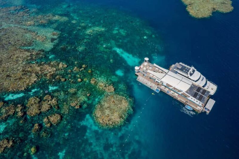 Cairns: Great Barrier Reef Pontoon with Water Activities - The Itinerary: What to Expect on the Day