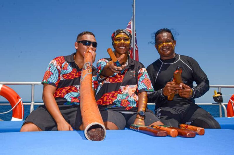 Cairns: Great Barrier Reef Premium Diving Full Day Tour - A Detailed Look at the Reef Tour