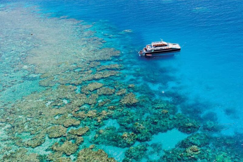 Cairns: Great Barrier Reef Premium Diving Full Day Tour - Practical Tips for Travelers