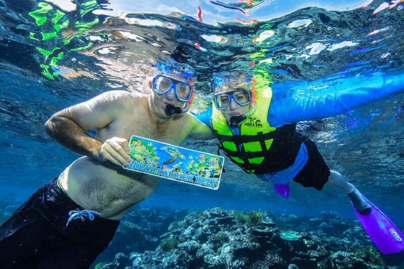 Cairns: Great Barrier Reef Premium Diving Full Day Tour - FAQs