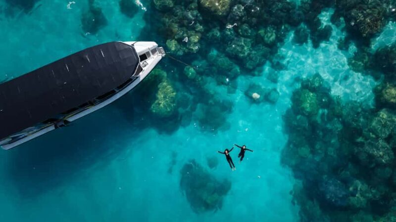 Cairns: Great Barrier Reef Small Group Snorkelling Tour - Key Points