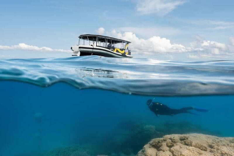 Cairns: Great Barrier Reef Small Group Snorkelling Tour - Potential Drawbacks and Considerations