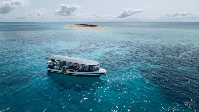 Cairns: Great Barrier Reef Small Group Snorkelling Tour - Who Should Consider This Tour?