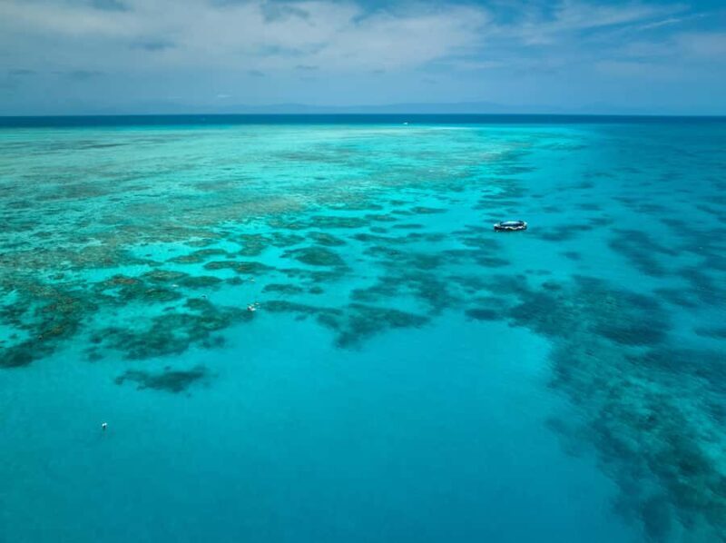 Cairns: Great Barrier Reef Snorkel and Scenic Flight - A Closer Look at the Tour Experience