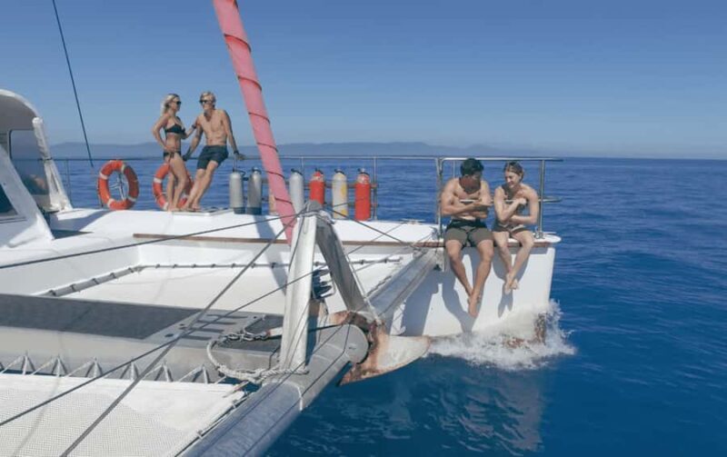 Cairns: Great Barrier Reef Snorkeling Tour with Lunch - An Introduction to the Tour Experience