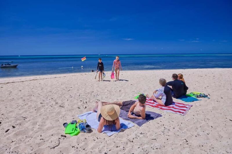 Cairns: Green Island Full-Day Tour with Diving - Why this Tour Works Well