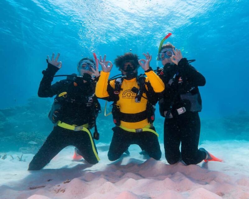 Cairns: Green Island Full-Day Tour with Diving - The Value Proposition