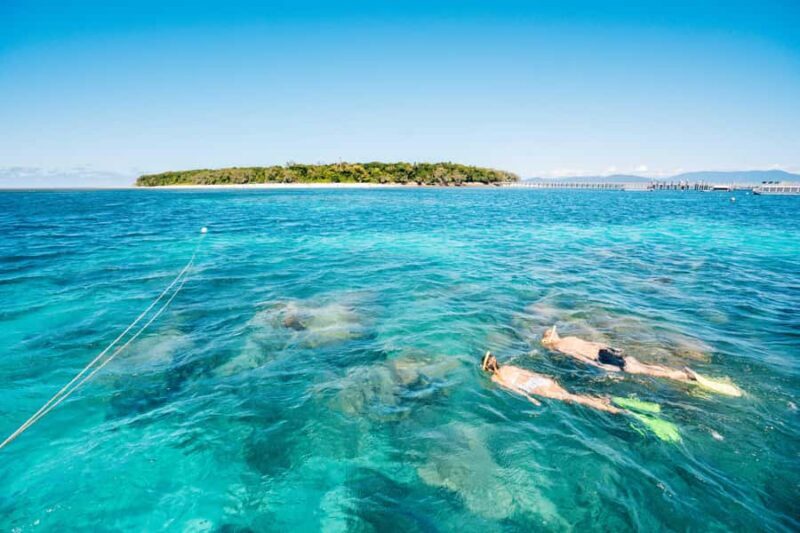Cairns: Green Island Snorkelling or Glass Bottom Boat - Key Points