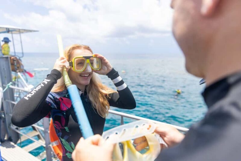 Cairns: Half Day Helicopter & Snorkeling Tour - Key Points