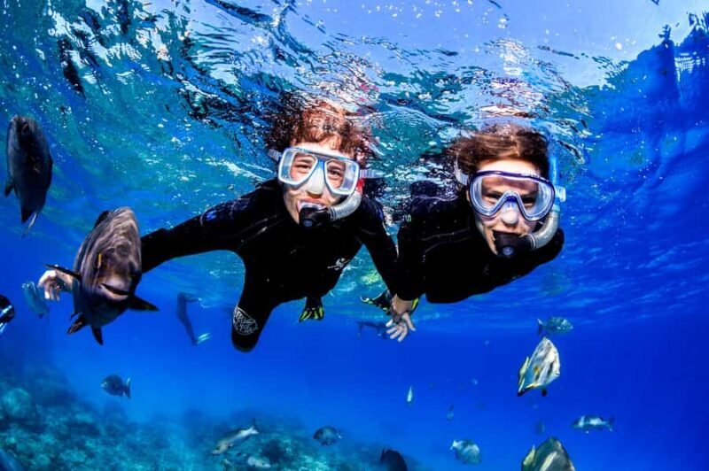 Cairns: Half-Day Outer Reef Snorkel Tour - FAQ