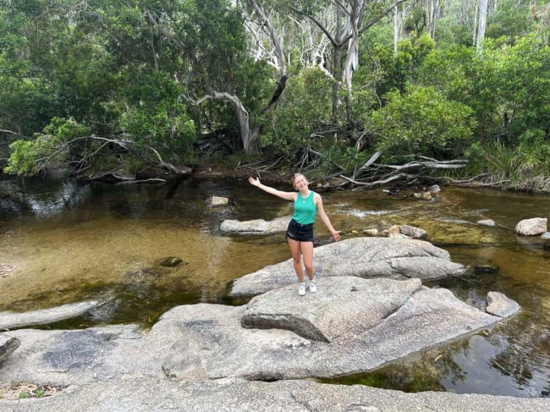 Cairns: Half-Day Premium 4WD Rainforest & Waterfall Tour - Transport, Timing, and Group Dynamics
