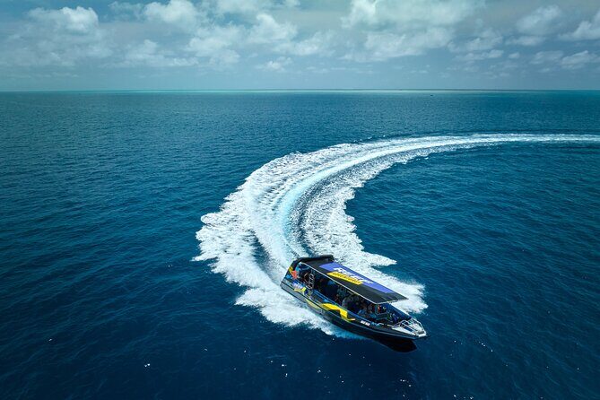 Cairns Half Day Tour a Great Barrier Reef Snorkeling Experience - Introduction