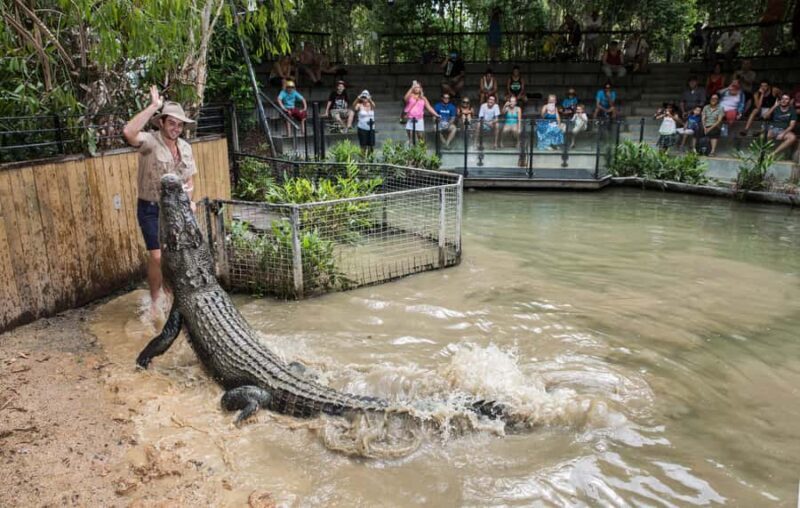 Cairns: Hartley's Crocodile Adventures Visit with Transfer - What Makes This Tour Stand Out