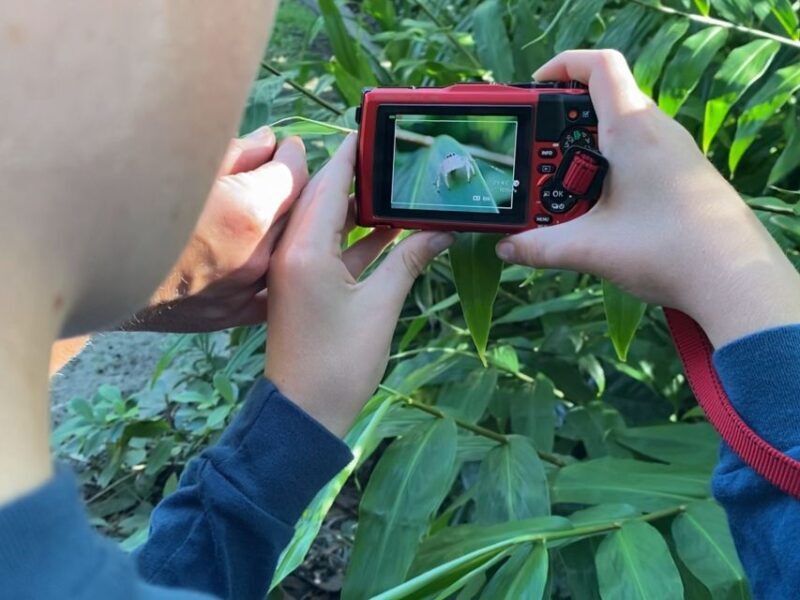 Cairns: Insect Photography Tour of Cairns Botanic Gardens - FAQs