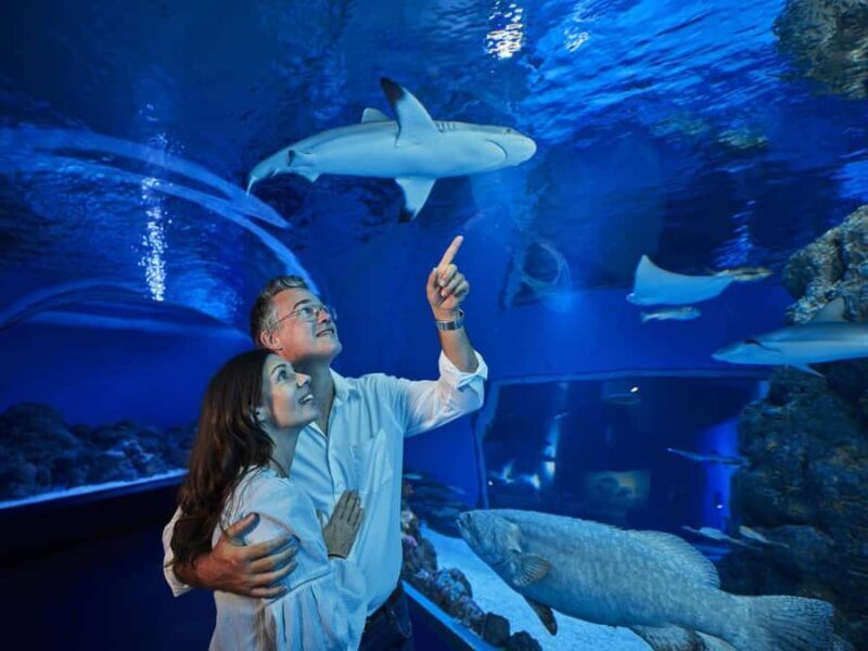 Cairns: Night at the Aquarium Guided Tour & 2 Course Dinner - An In-Depth Look at the Experience
