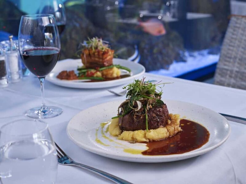 Cairns: Night at the Aquarium Guided Tour & 2 Course Dinner - FAQ Section