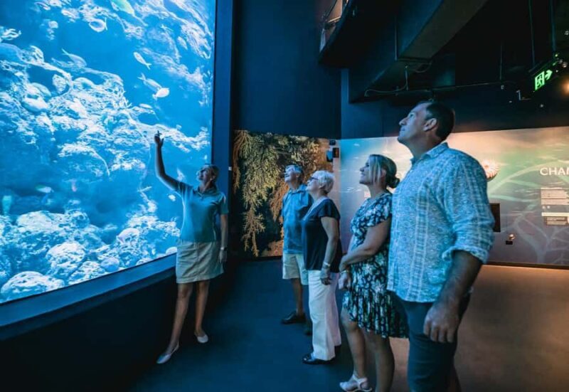 Cairns: Night at the Aquarium Guided Tour - What Travelers Are Saying