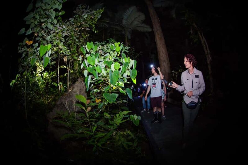 Cairns: Night Walk in Cairns Botanic Gardens - Key Points