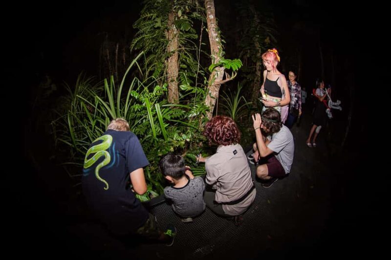 Cairns: Night Walk in Cairns Botanic Gardens - FAQ