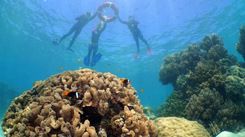 Cairns: Ocean Spirit Great Barrier Reef Full Day Tour - The Value and the Cost