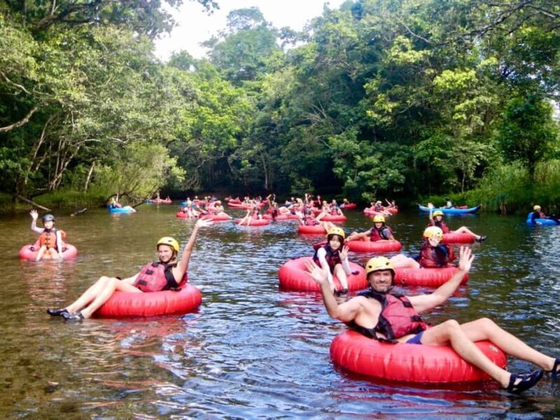 Cairns or Northern Beaches: Rainforest River Tubing - Key Points